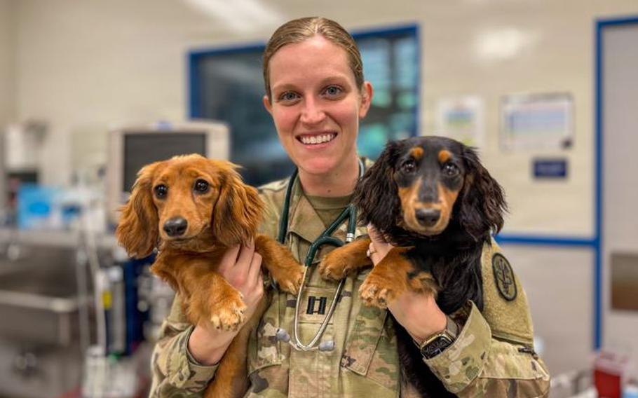 U.S. Army Capt. Laura Harms, Veterinary Corps officer, Kadena Veterinary Clinic, poses with her dogs at the Kadena Veterinary Clinic, April 10, 2026, Kadena Air Base, Japan.